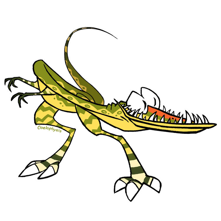 Coelophysis