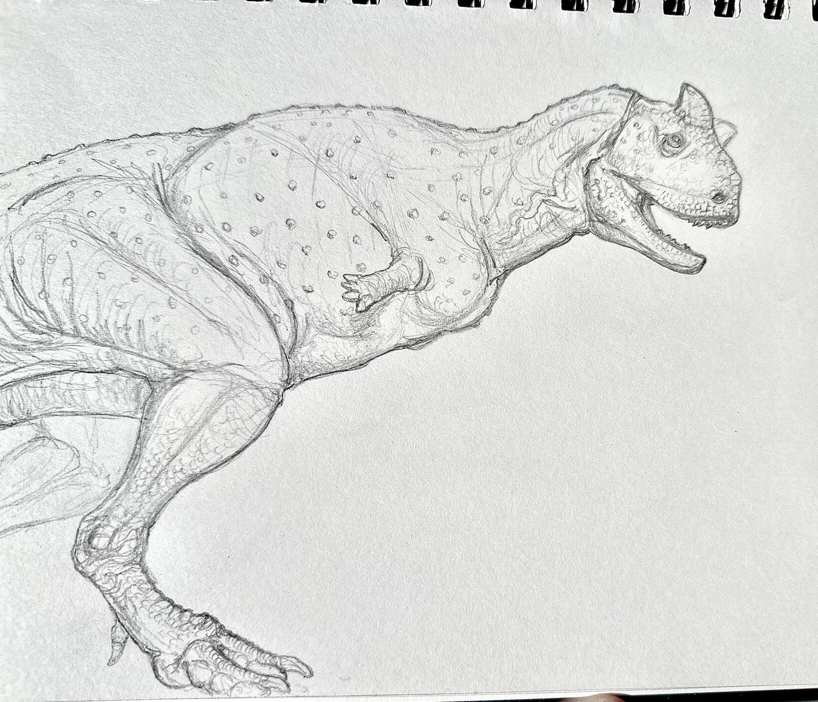 Carnotaurus, graphite